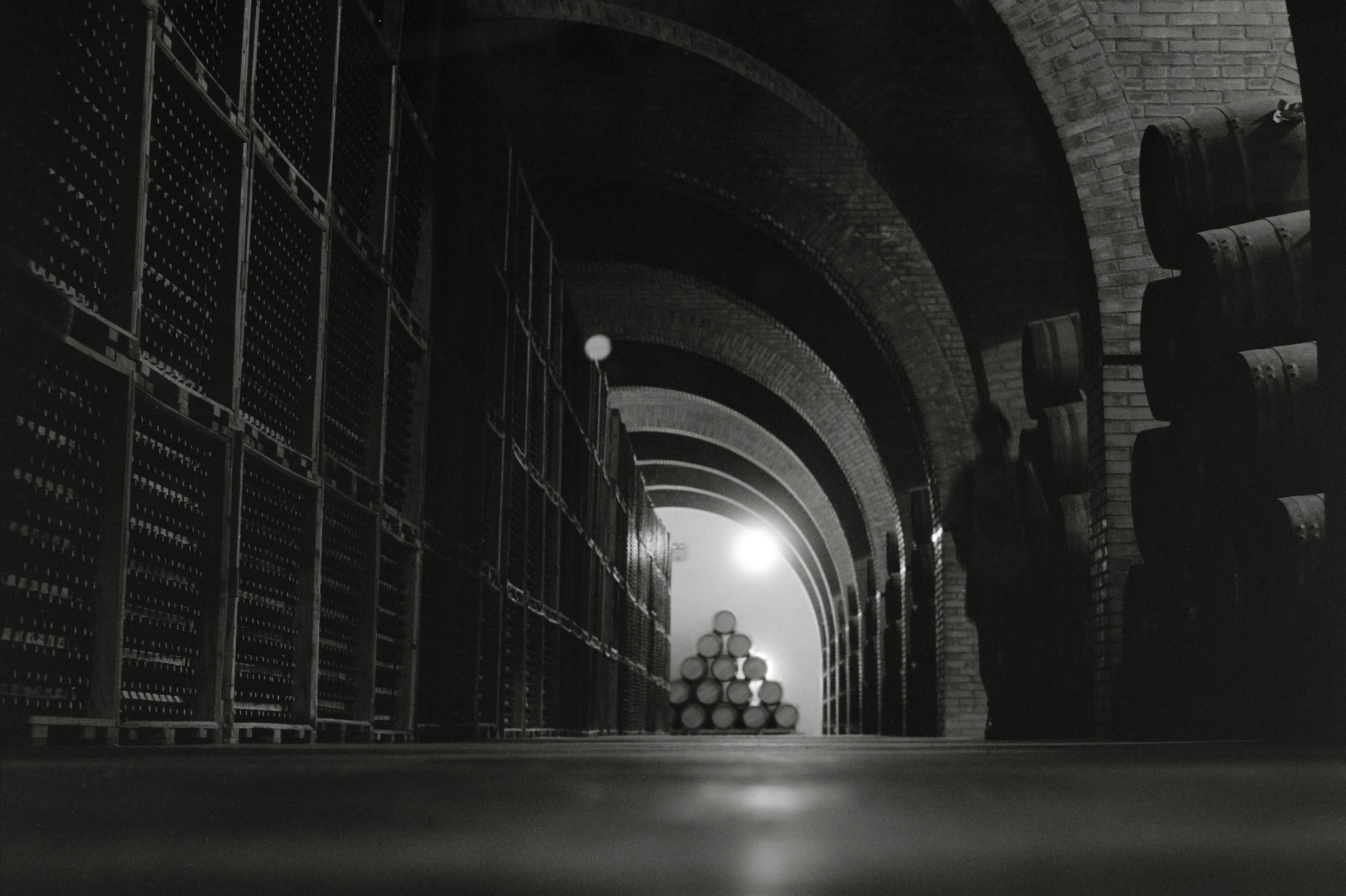 AHP F1995 05 007 sc240826 img14 NLP